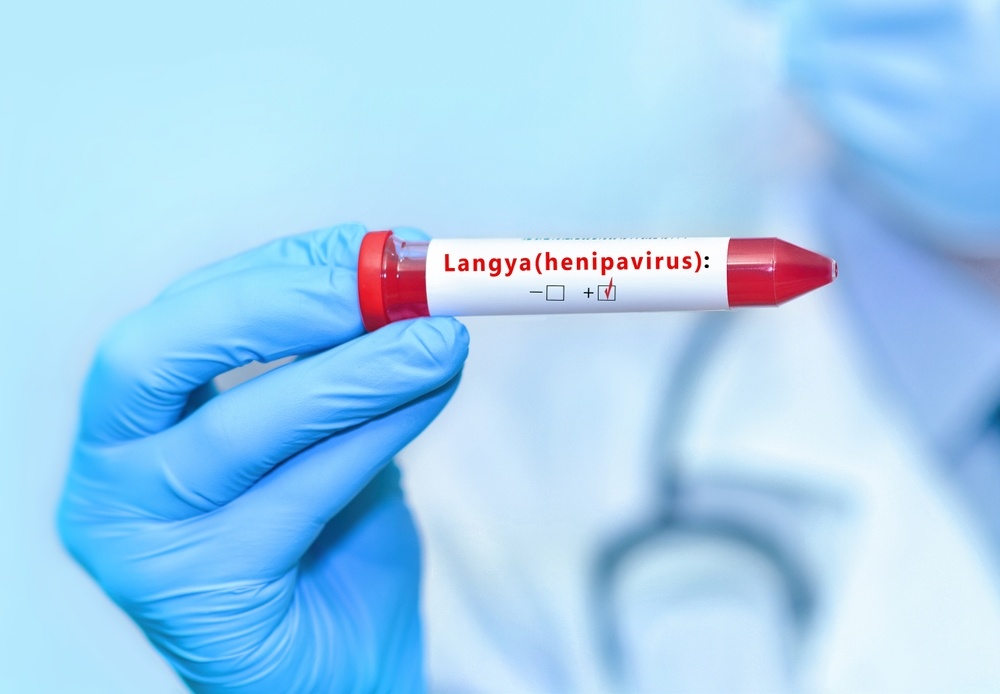 O ιός Langya έχει εντοπιστεί στην Κίνα από το 2018 - Γιατί ανησυχούν τώρα οι επιστήμονες
