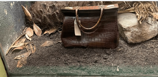 Η επίδειξη τσάντας από δέρμα κροκόδειλου σε ζωολογικό κήπο γίνεται viral