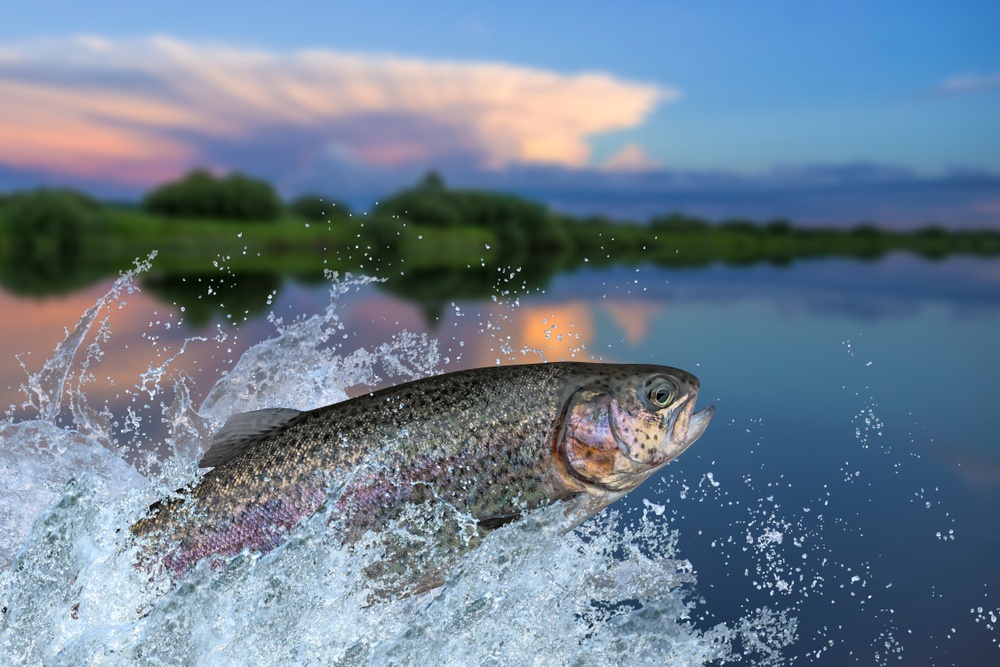 Healthstories Αν φας ένα ψάρι του γλυκού νερού στις ΗΠΑ ισοδυναμεί με το να πίνεις επί ένα μήνα μολυσμένο νερό