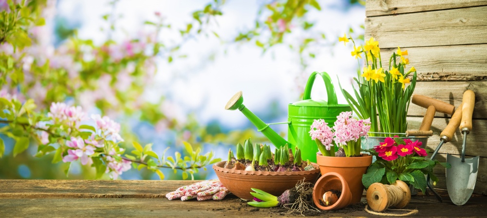 Healthstories 7 λάθη που πρέπει να αποφύγετε όταν προετοιμάζετε τον κήπο σας για την άνοιξη