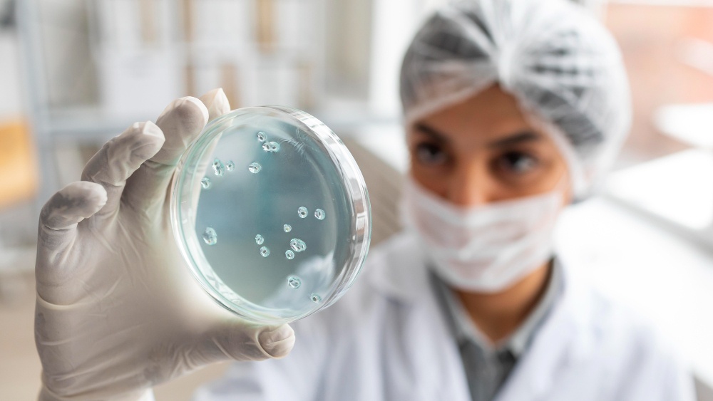 Βακτήρια που ανακαλύφθηκαν στους Νεάντερταλ θα βοηθήσουν στην ανάπτυξη νέων αντιβιοτικών