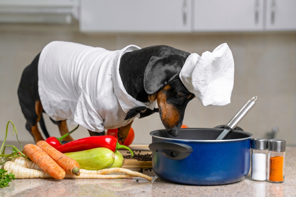 Healthstories 7 επικίνδυνες τροφές που δεν πρέπει ποτέ να ταΐζετε τον σκύλο σας