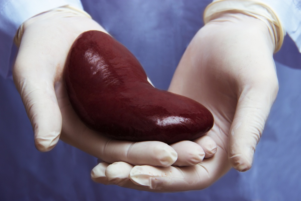 Μεταμοσχεύθηκε γενετικά τροποποιημένο νεφρό από χοίρο σε άνθρωπο και λειτούργησε