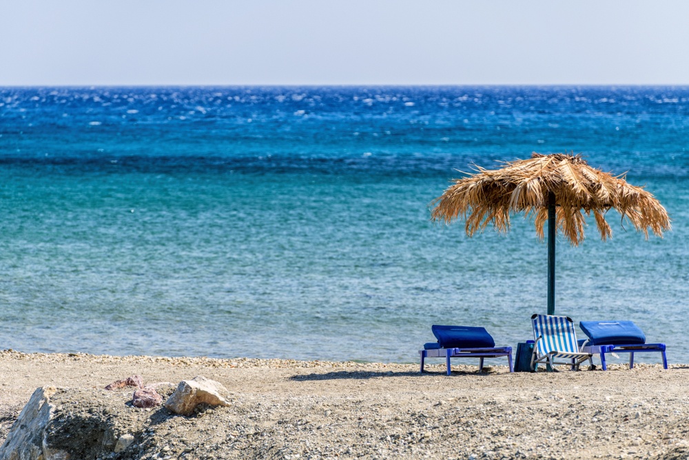 Μωβ μέδουσες Διπλή επίθεση σε γυναίκα που κολυμπούσε στα Χανιά – Οι φωτογραφίες με τα σημάδια