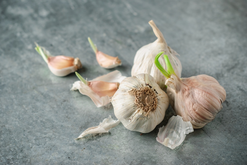 Healthstories Μπορείτε να χρησιμοποιήσετε σκόρδο με φύτρα;