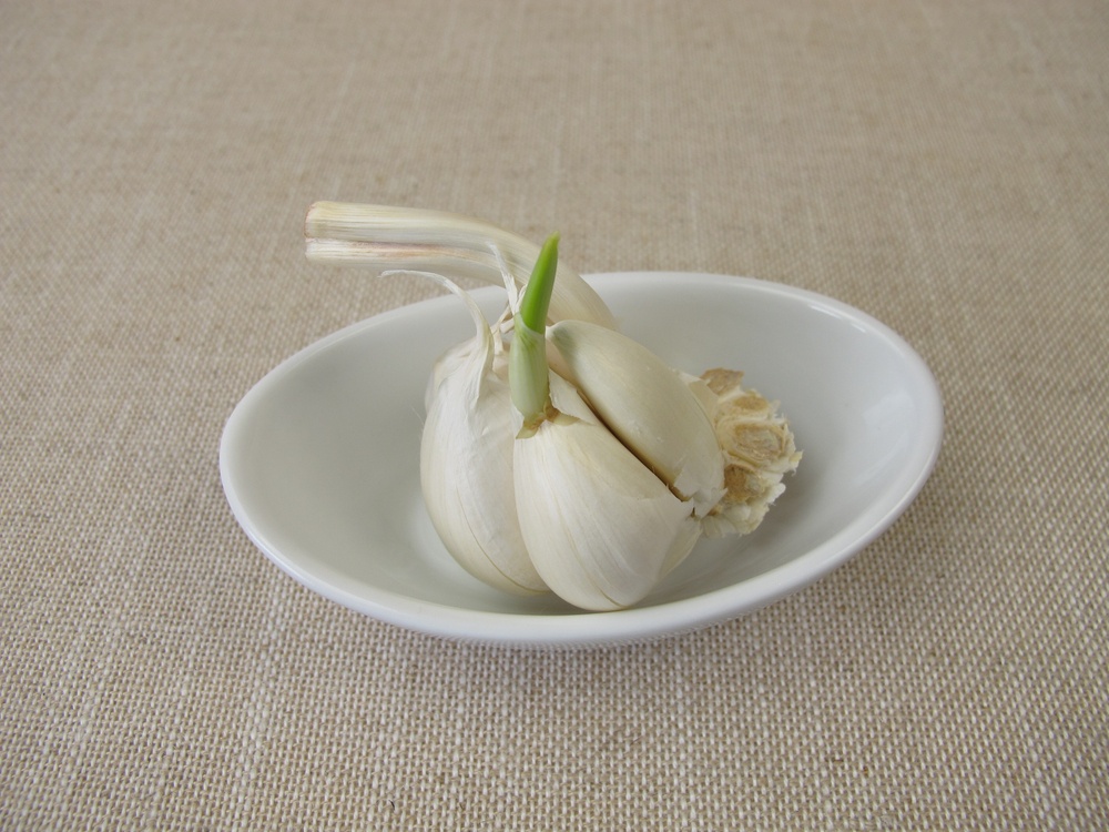 Healthstories Μπορείτε να χρησιμοποιήσετε σκόρδο με φύτρα;