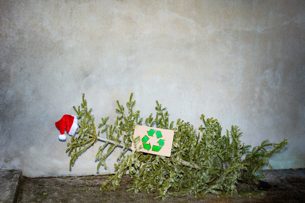 ΘεσσαλονίκηΠάνω από 2.500 φυσικά χριστουγεννιάτικα δέντρα θα ανακυκλωθούν.jpg