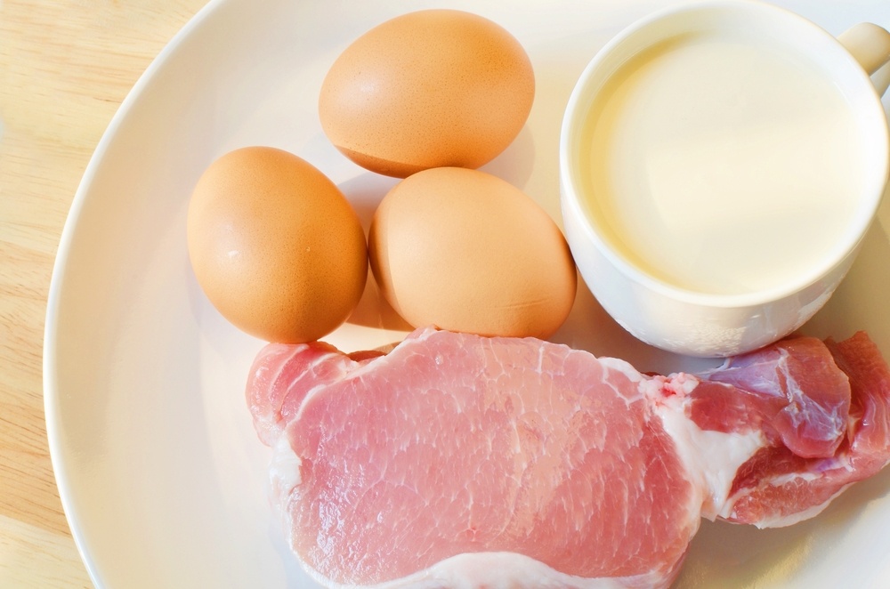 Παγκόσμιος Οργανισμός Τροφίμων Κρέας, αυγά και γαλακτοκομικά «βασικές πηγές» θρεπτικών συστατικών.jpg