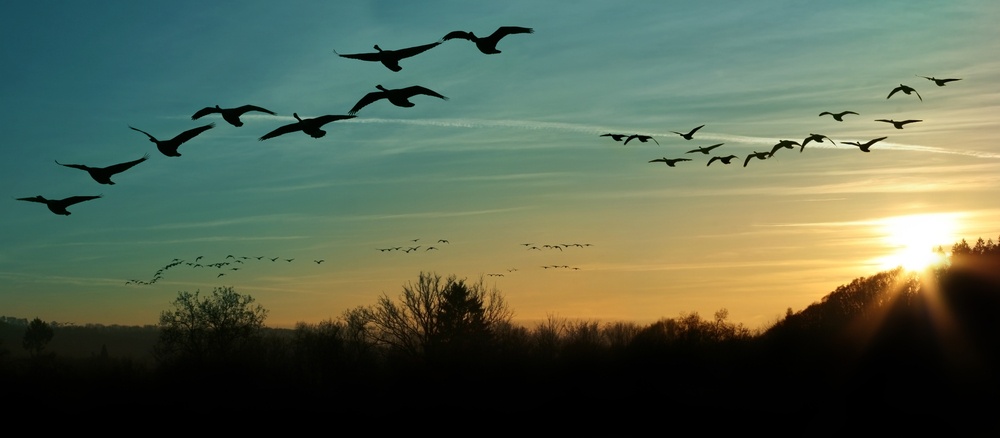 Ορνιθοπαρατηρητές από όλον τον κόσμο στην Λέσβο για τη μετανάστευση των πουλιών