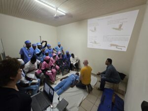 to Onasseio sti Madagaskari