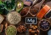 Γιατί το μαγνήσιο έχει σημασία magnisio